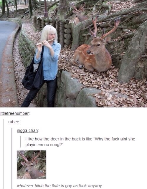 This will always make me laugh