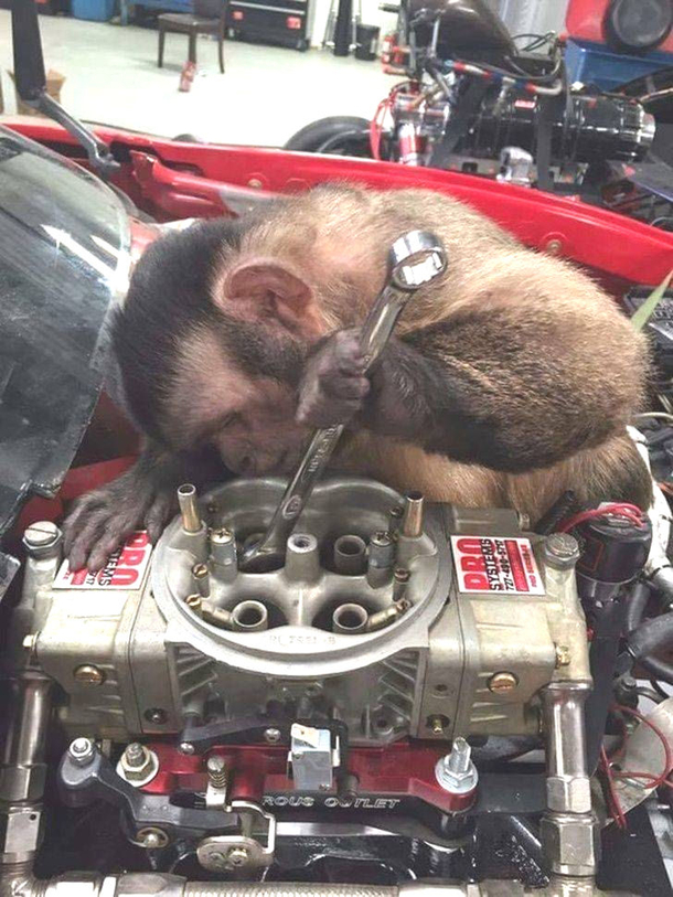 This would be a lot easier if I had a monkey wrench