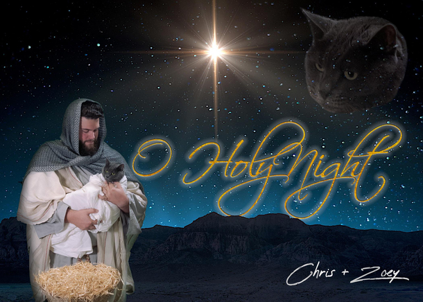 This years Christmas card from my Cat and I