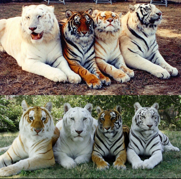 Those awkward family reunions 