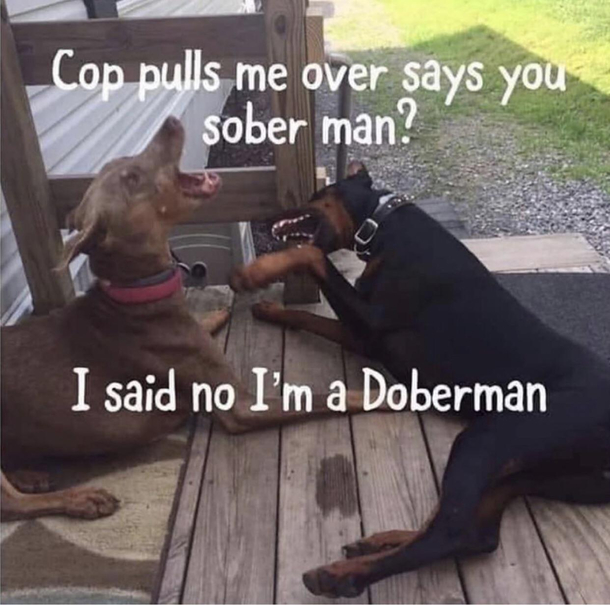 Those damn cop