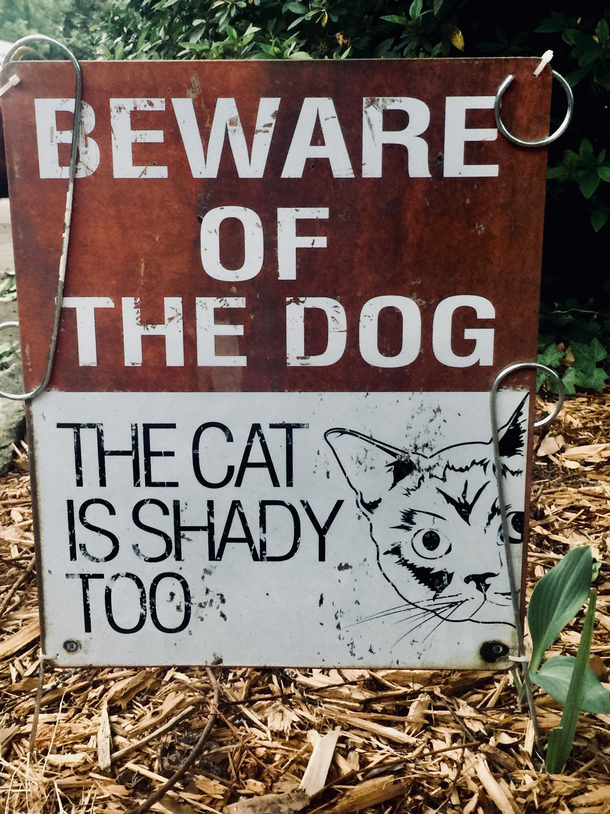 Those devious cats 