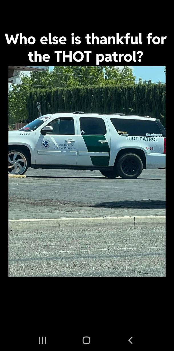 THOT patrol your tax dollars at work