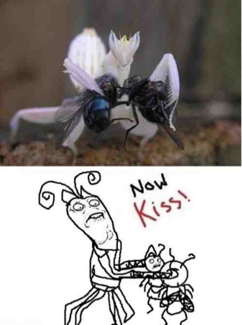 thought this was amusing