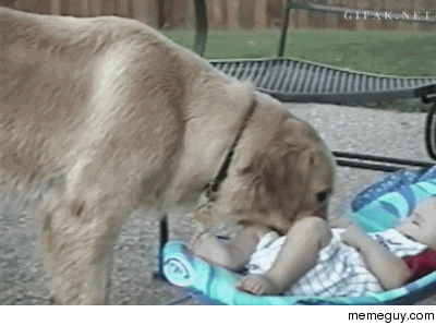 Throw it Throw it human Throw it now
