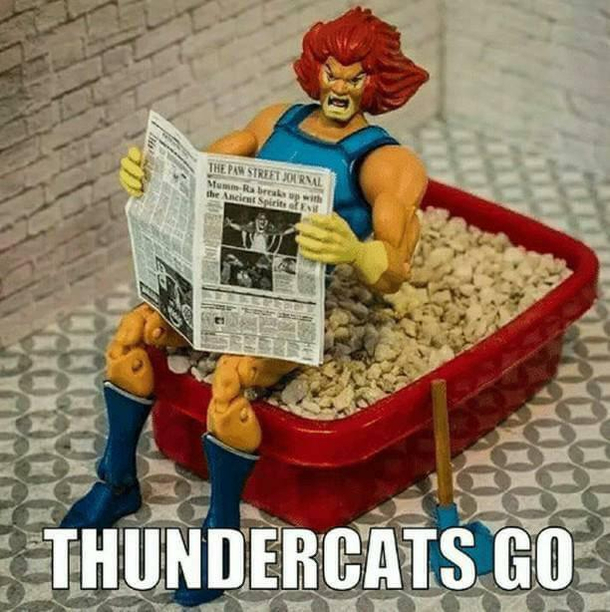 Thunder thunder thunder