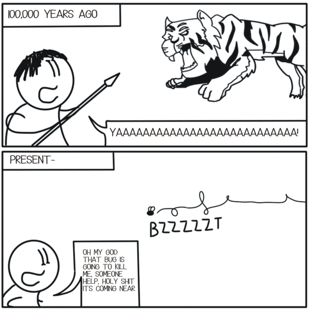 Tiger and Bug