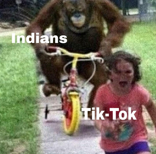 Tiktok bad reddit good