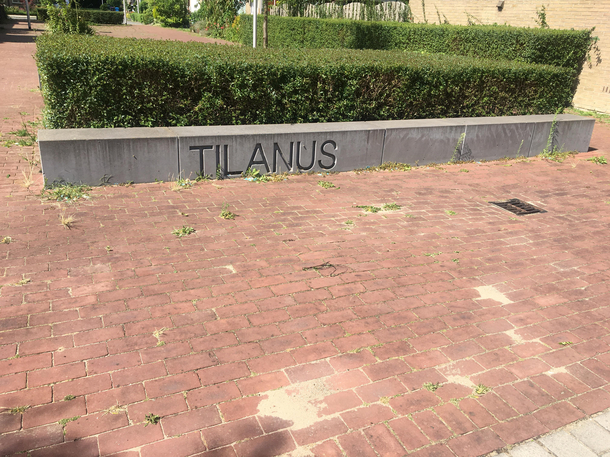 TIL ANUS