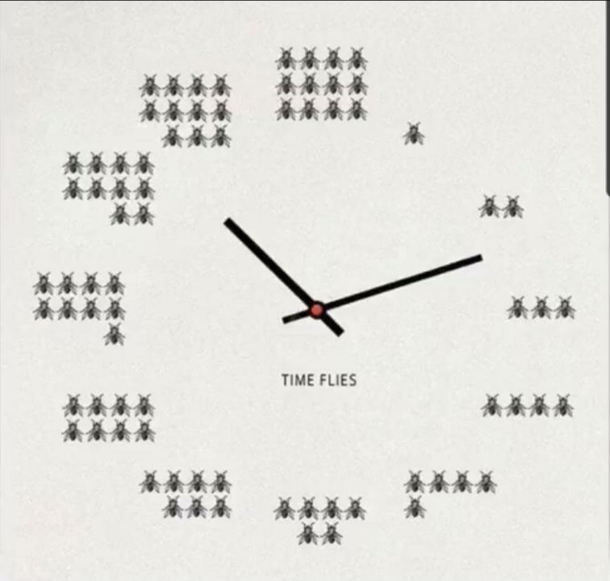 Time flies