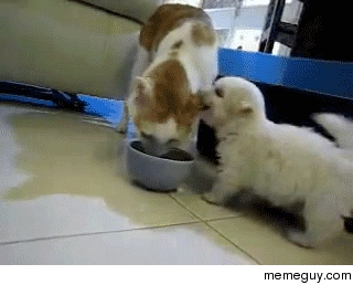 time for noms