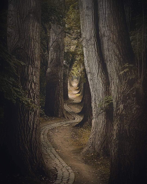 Time spent among trees is never wasted time 