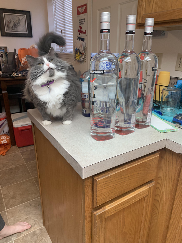 Time to turn up