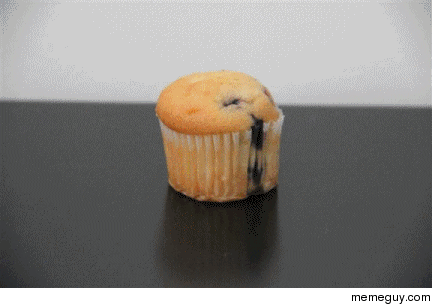 Timelapse of leaving a muffin out too long