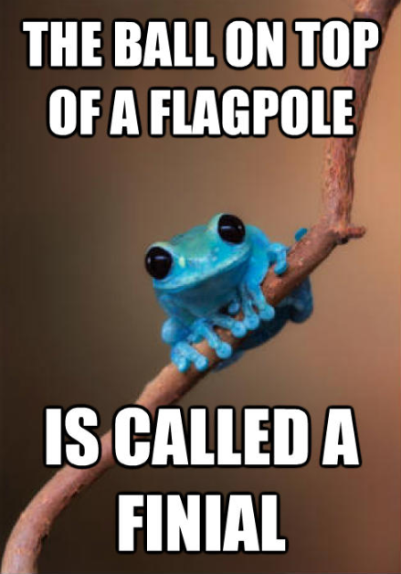 Tiny Fact Frog on Flagpoles