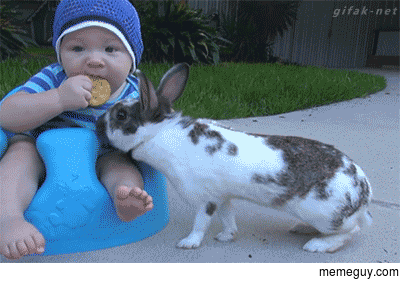 Tiny Robber