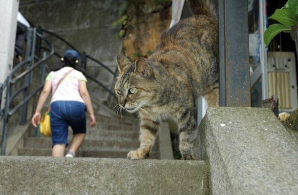 Tiny woman is in danger