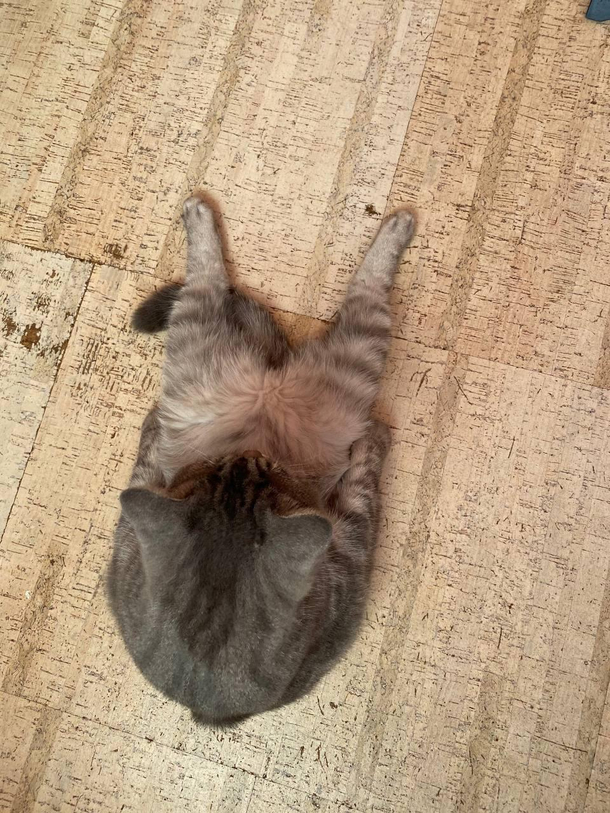 tired and sitting