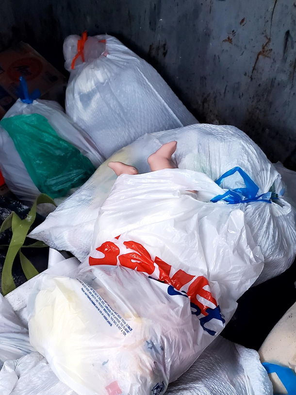 Tired this morning and went to throw the trash outhad a heart attack for a second