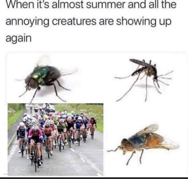 Tis the season