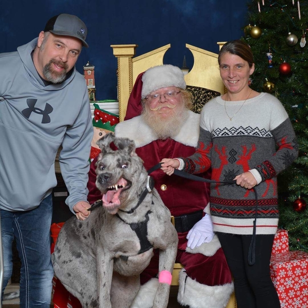 Titan was excited to visit Santa