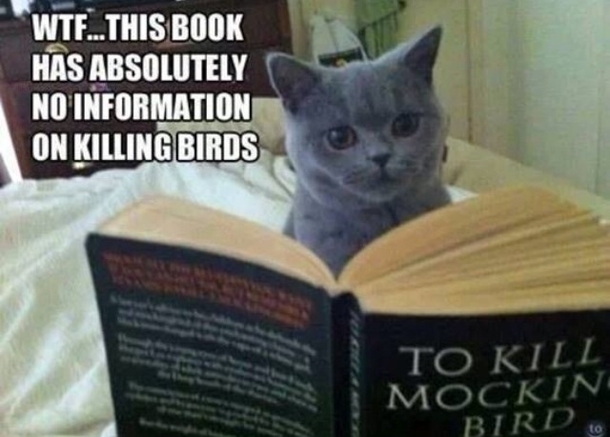 Titles can be deceiving