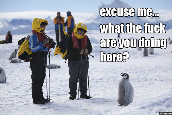 To all of you college students going through your last few days of finals 
