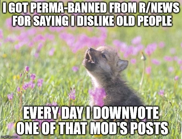 To be fair he is probably old and dislikes me