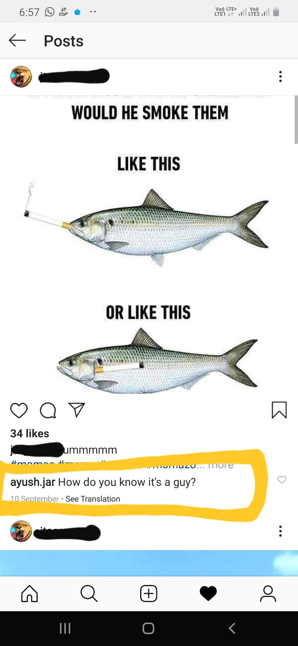 To fish or not to fish