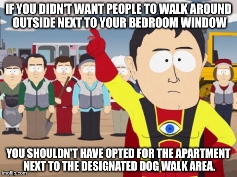 To the new couple in the first floor apartment who refuse to ever shut their blinds or windows and then start talking about me being creepy and stalking their bedroom window every night