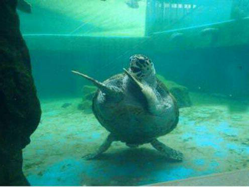 To the windoooooooo to the wall