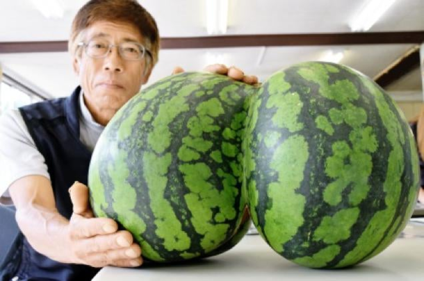 To whomever posted the butt tomato I present the butt watermelone