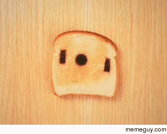 Toast stop animation
