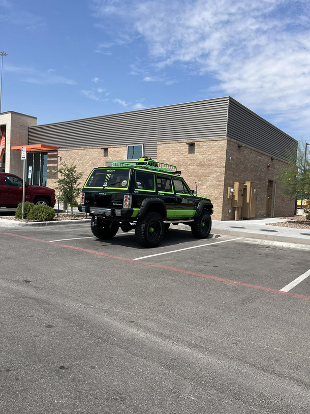 Today I learned jeeps carry their young until theyre old enough to survive on their own Heres one I spotted in the wild