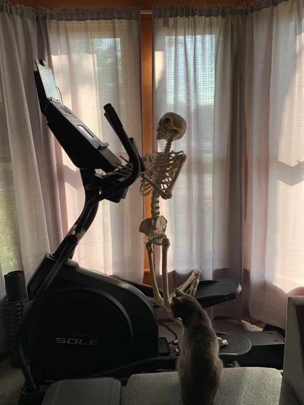 Today is the first time Ive done cardio in about a year
