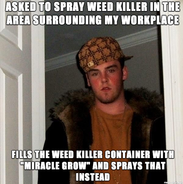 Today was my last day of work I AM SCUMBAG STEVE