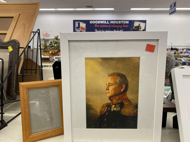 Todays Goodwill find