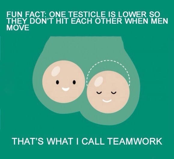Todays lesson kids