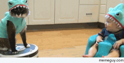 Toddler in a shark outfit admiring a cat in a shark outfit riding a Roomba