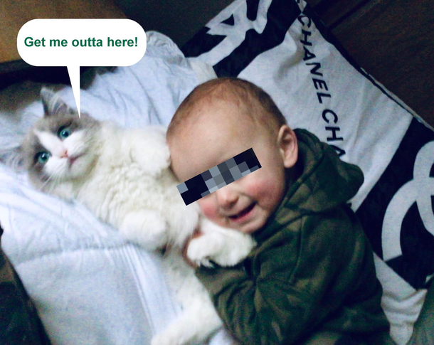 Toddlers amp Kitties what could go wrong
