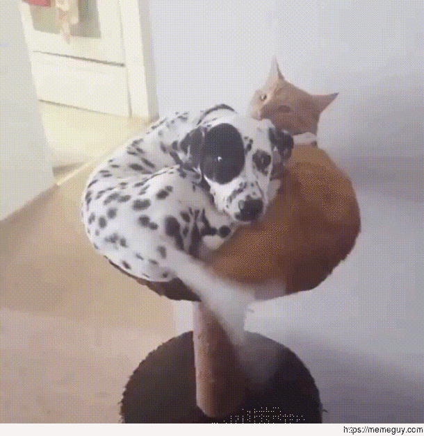 Together warmer