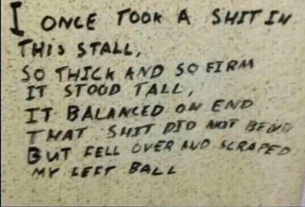 Toilet masterpiece