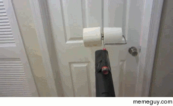 Toilet Paper  Leaf Blower  Awesome