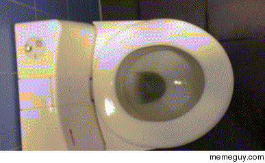 Toilet seat cleaner