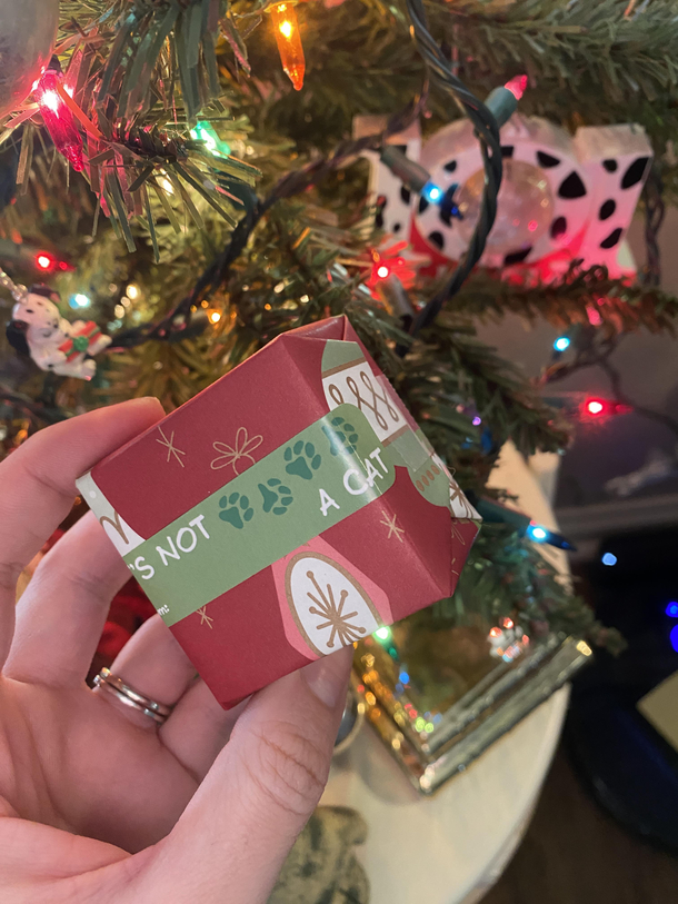 Told my husband I wanted a cat this is the label he put on one of my gifts