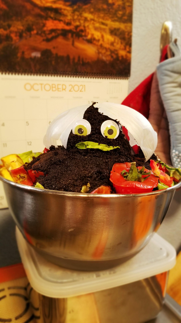 Told my husband if he didnt take this bowl out to the compost soon that it would come alive and take itself