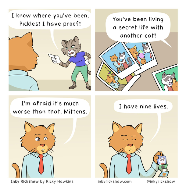 Tom Cat