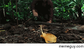 Tom Hanks pretty much sums up my first oral experience SFW