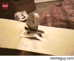 Tony Squawk