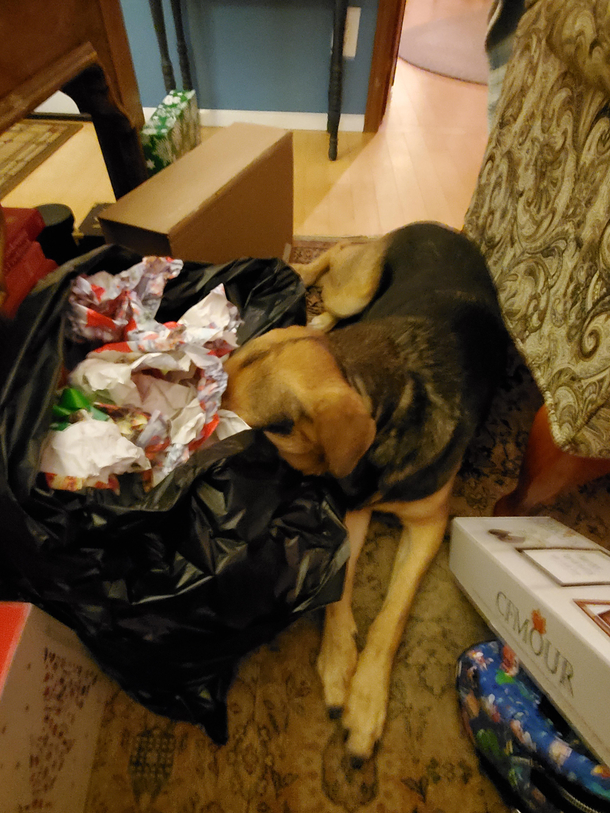 Too much christmas